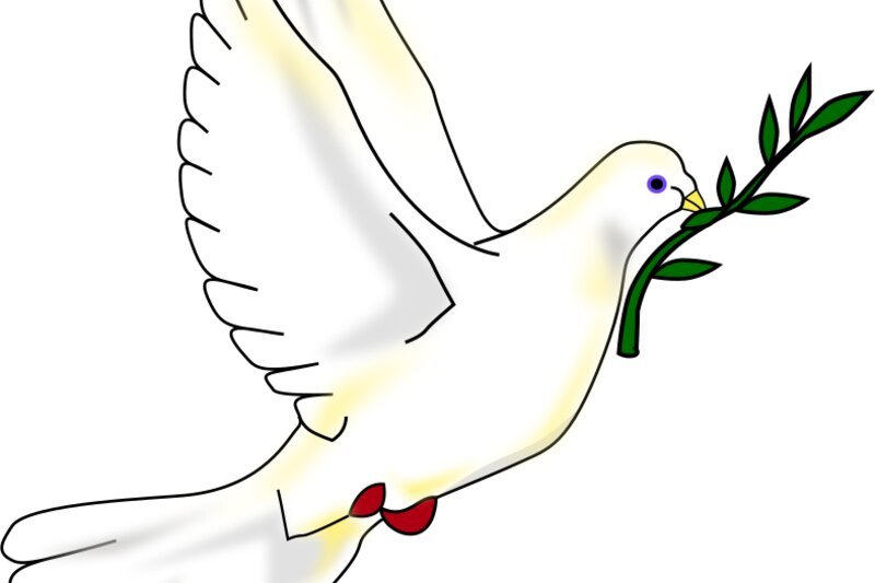 Trump launches Board of Peace at Davos